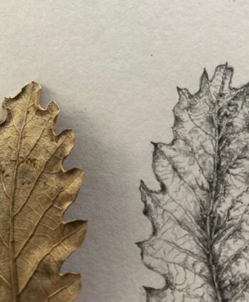 Natureza Lápis Grafite.4